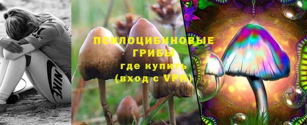 ПСИЛОЦИБИНОВЫЕ ГРИБЫ Богданович